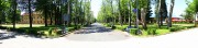 Alley <i>Platanus x acerifolia</i> 