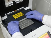 PCR 