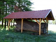 Abonos храст лужњак изложен у парковском комплексу