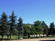 Групација стабала смрче и боровца
